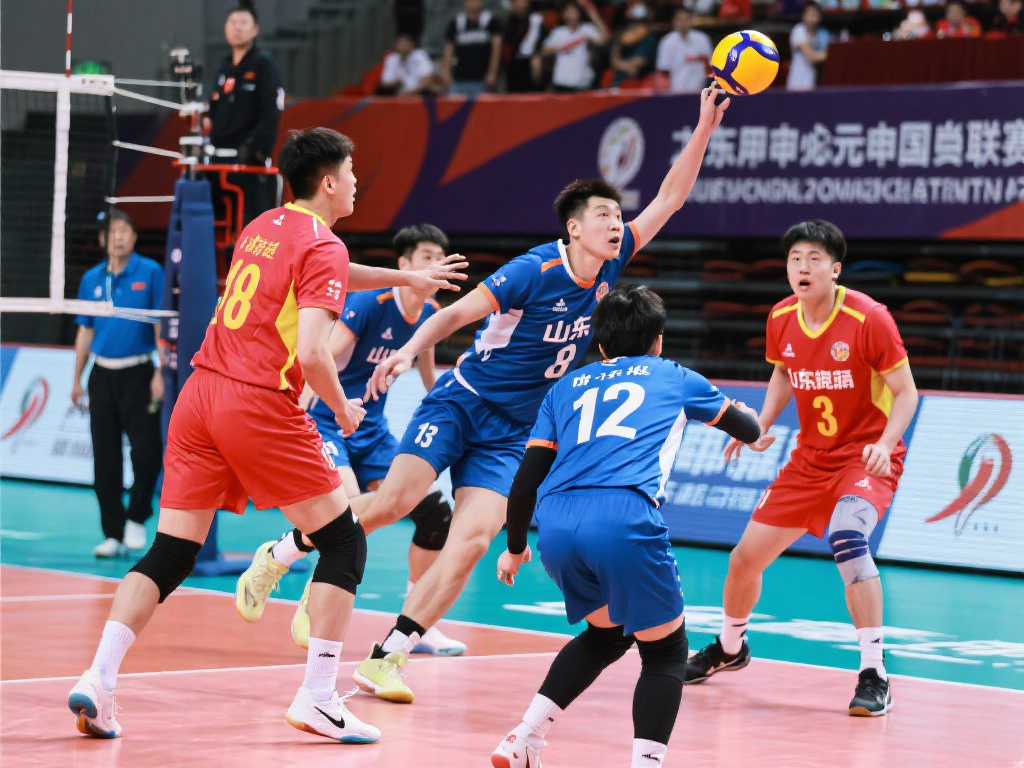 中尤为重要 中尤为重要