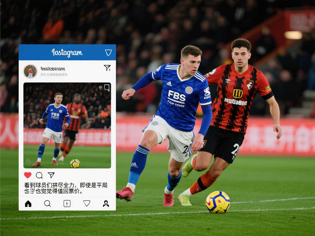 像布里斯班 像布里斯班